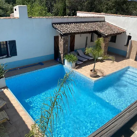 Le Patio Bleu *