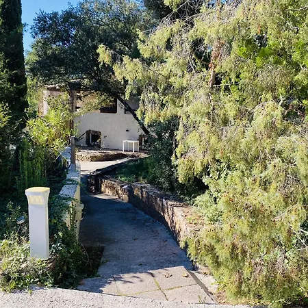 Le Patio Bleu